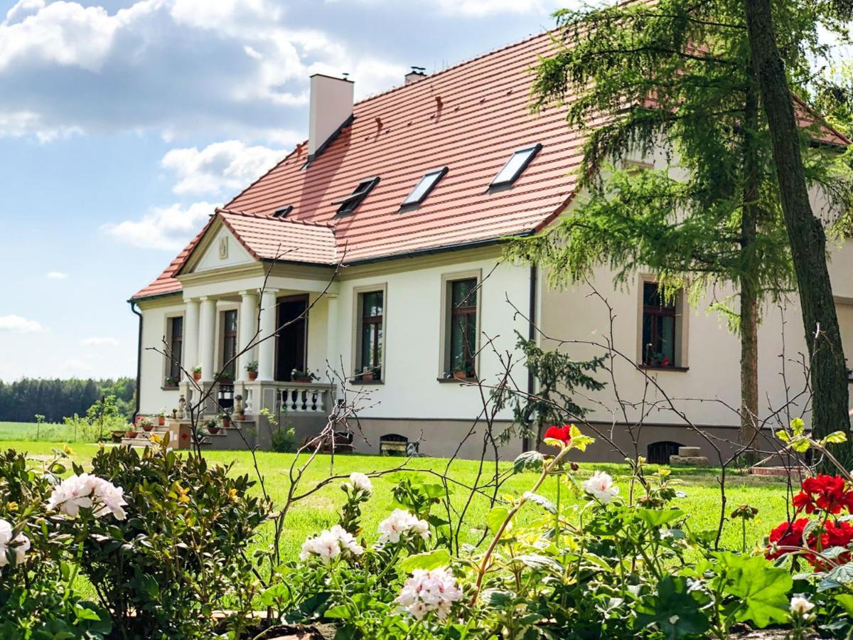 Dwor Gogolewo Nad Warta Bed & Breakfast Ksiaz Wielkopolski Екстериор снимка