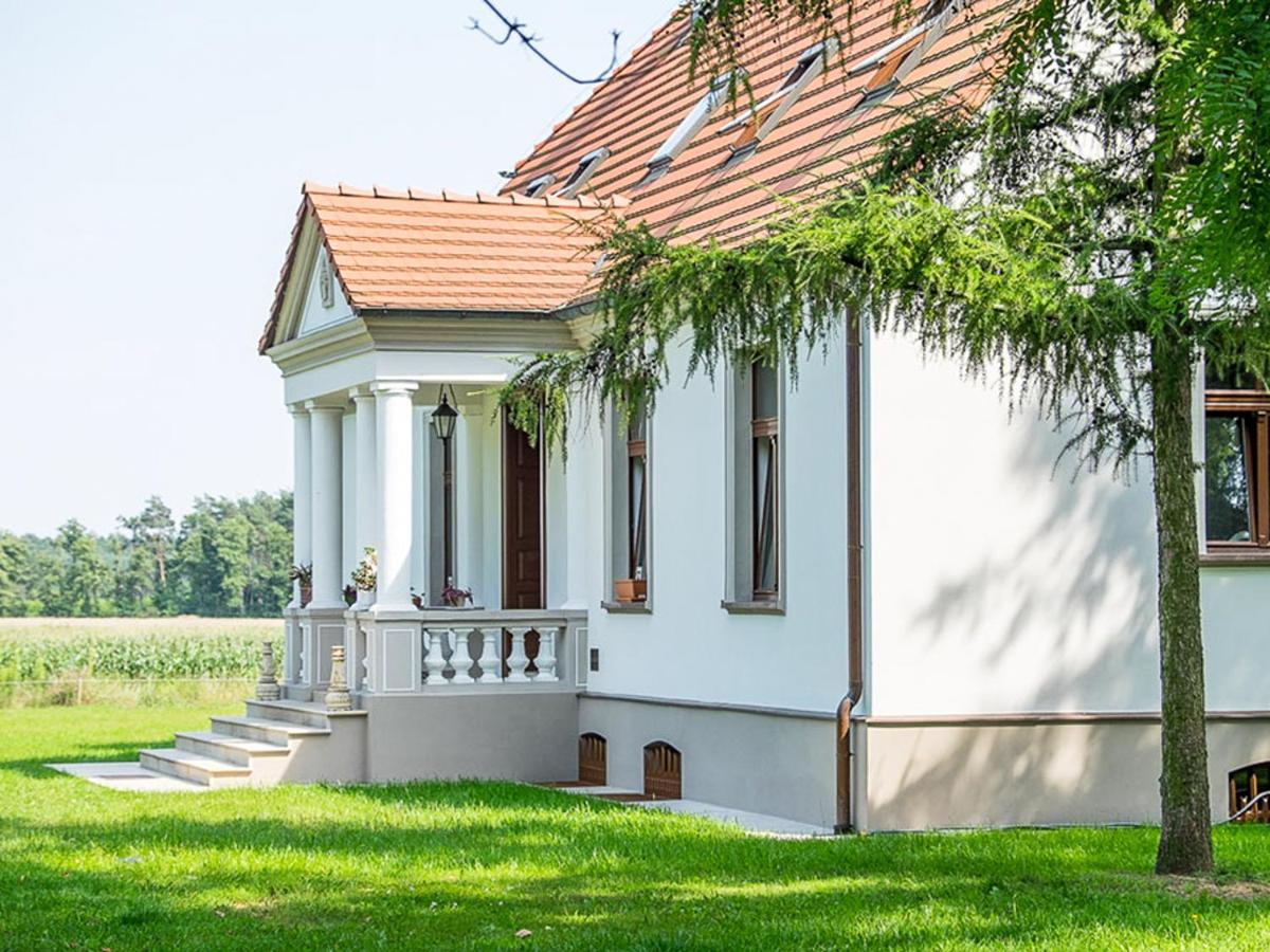 Dwor Gogolewo Nad Warta Bed & Breakfast Ksiaz Wielkopolski Екстериор снимка